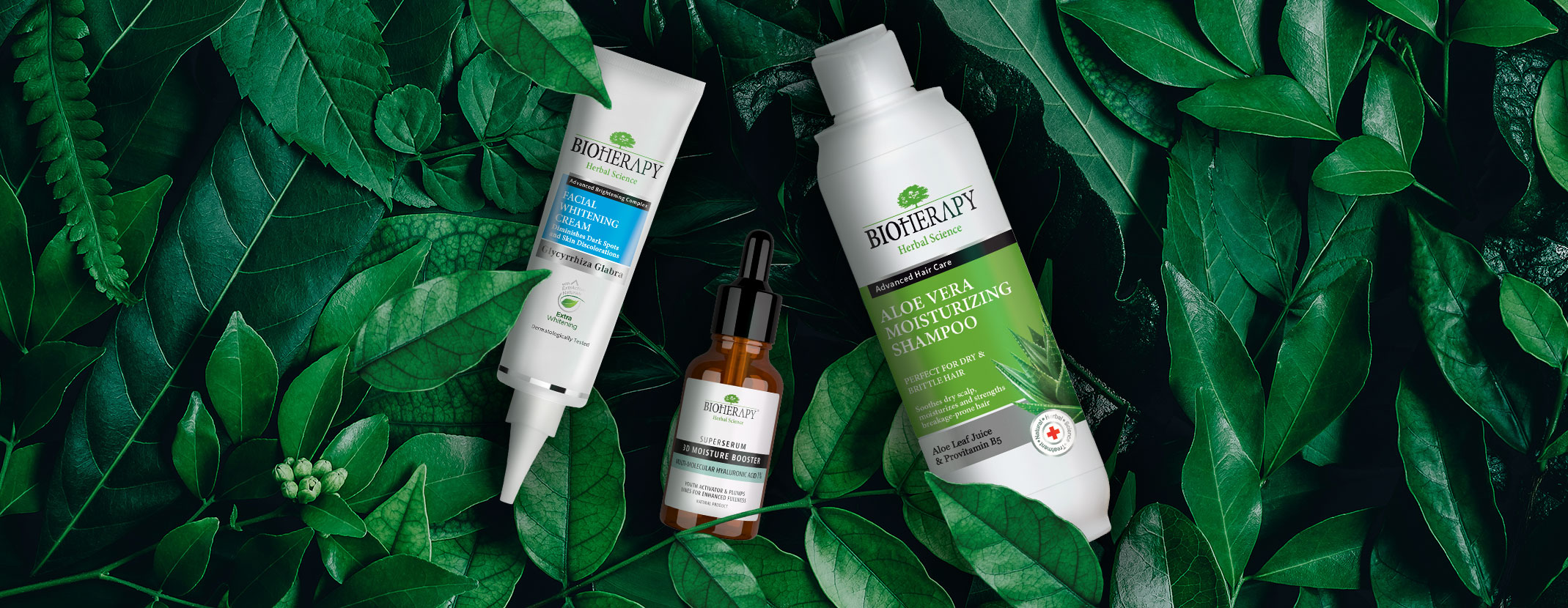 BioHerapy - 